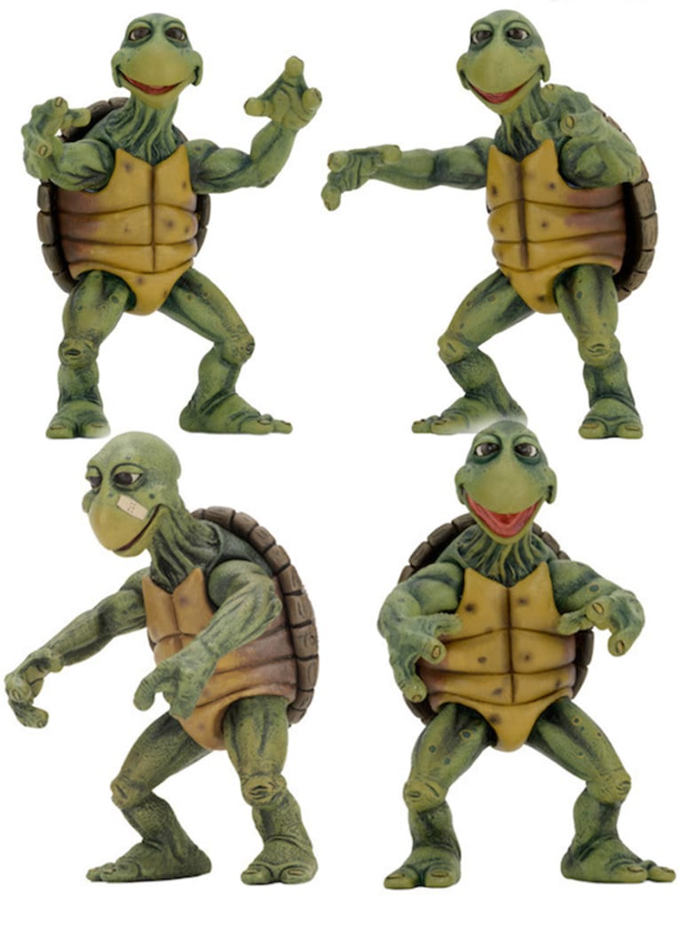 pictures of baby ninja turtles